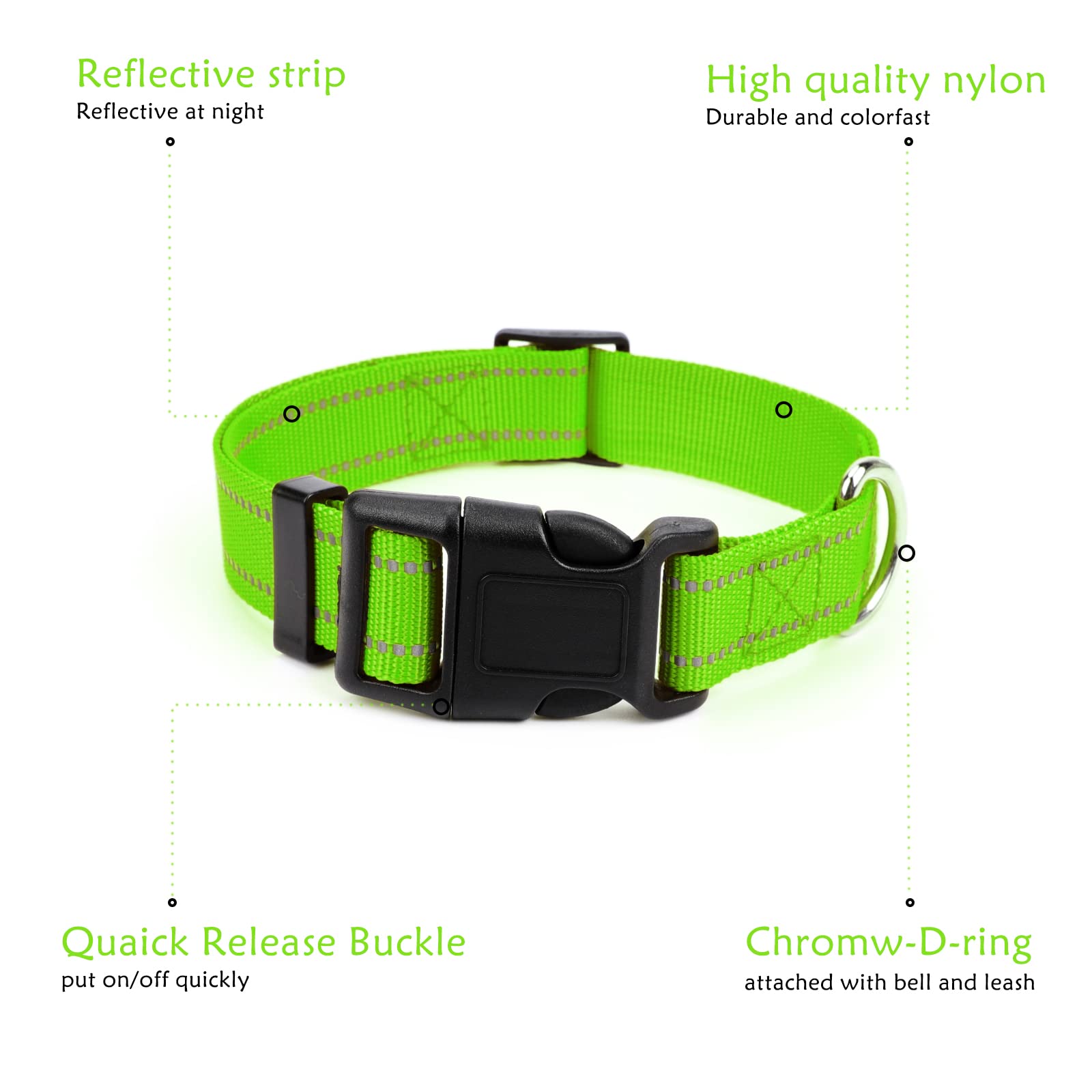 GINDOOR stainless steel D-rings for easy bell and leash attachment.