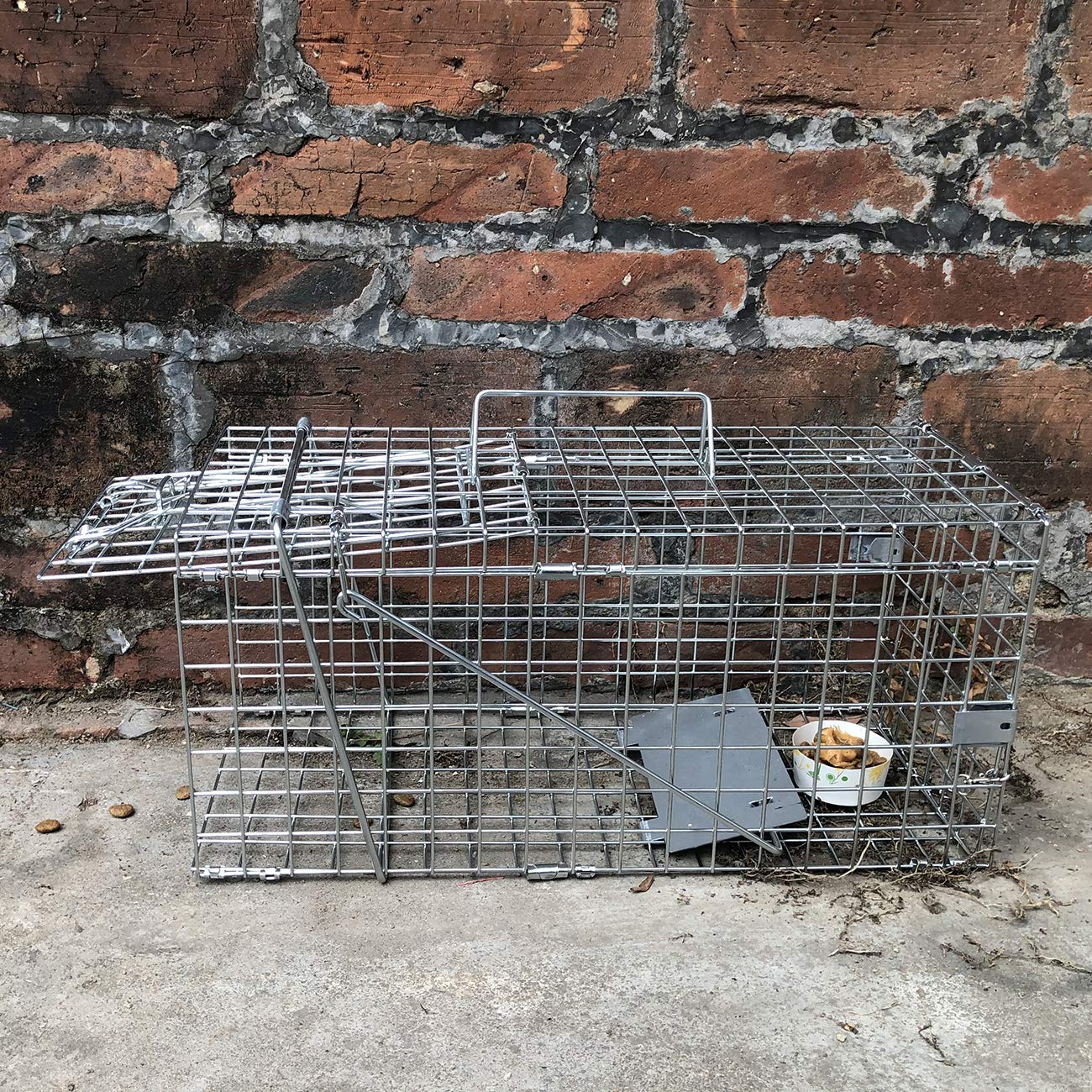 Gingbau heavy-duty galvanized iron construction resists chewing.