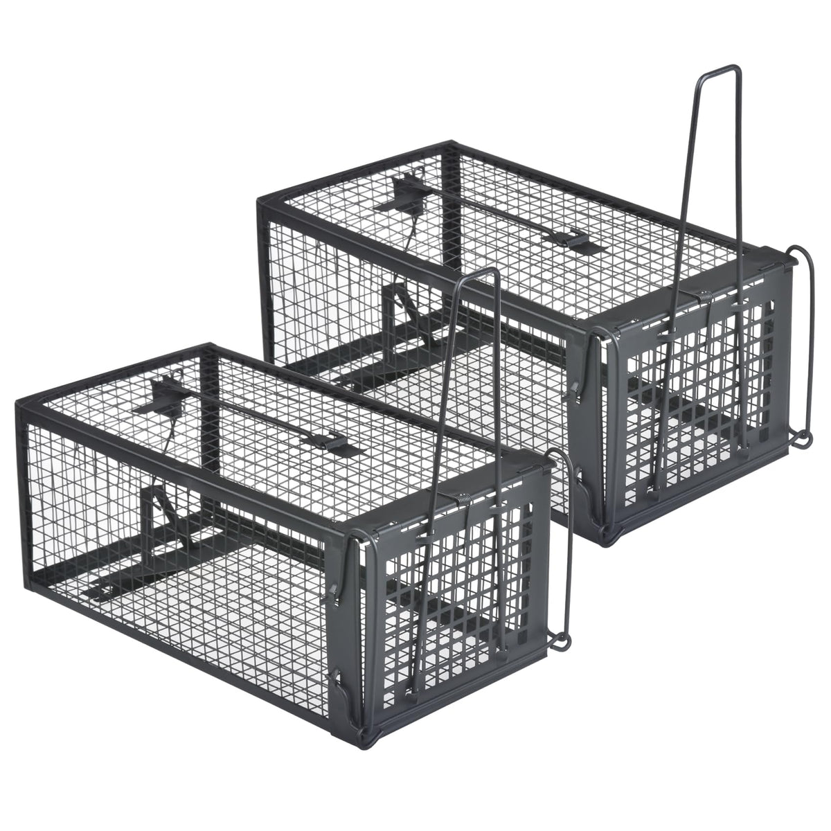 Gingbau humane trap 2-pack front view for safe live capture.