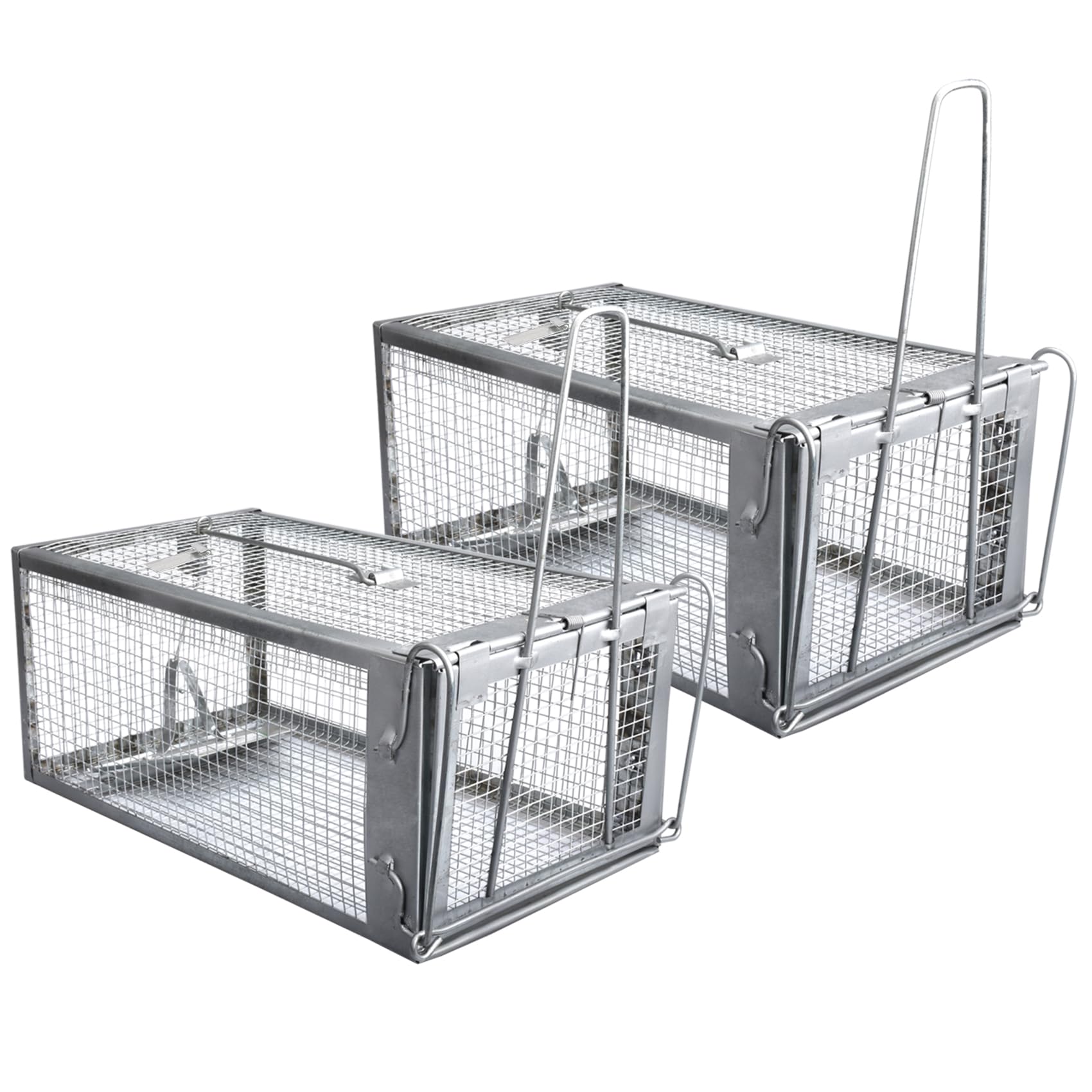 Gingbau humane trap front view for quick live capture of small rodents.