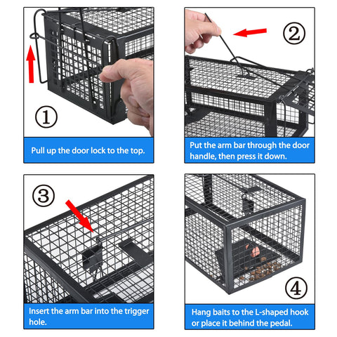 Gingbau Live Trap interior demonstrates reliable auto-door lock.
