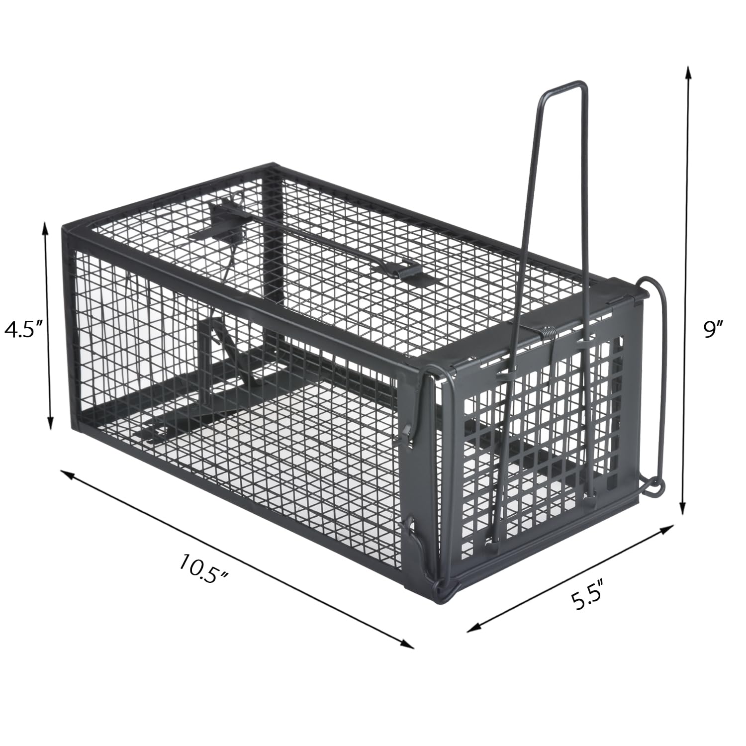 Gingbau Live Trap metal frame closeup shows rust-resistant galvanized steel.