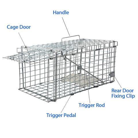 Gingbau Squirrel Trap dimensions 17.3 by 7.4 by 8.2 inches for placement.