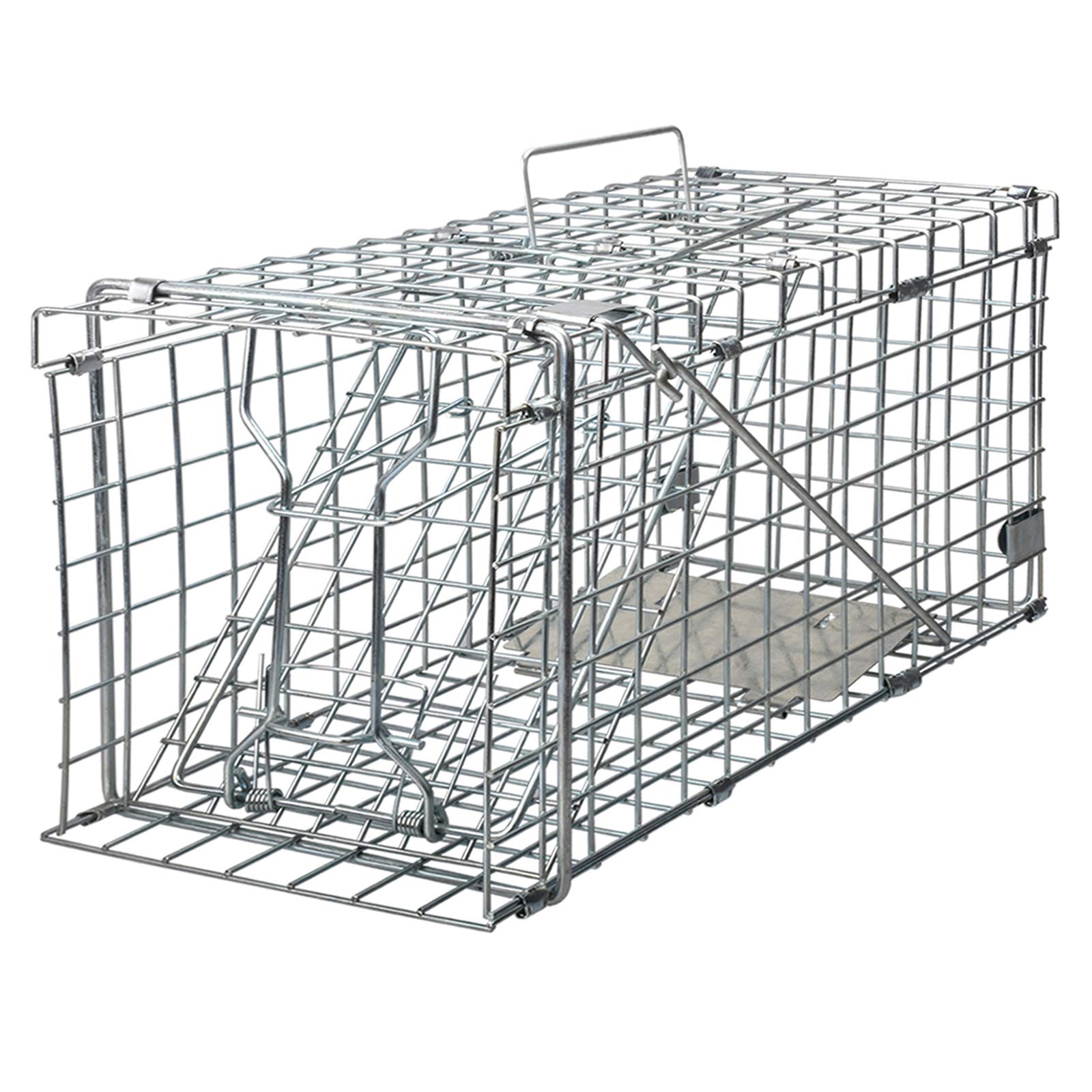 Gingbau Squirrel Trap front view shows heavy-duty cage for live capture.