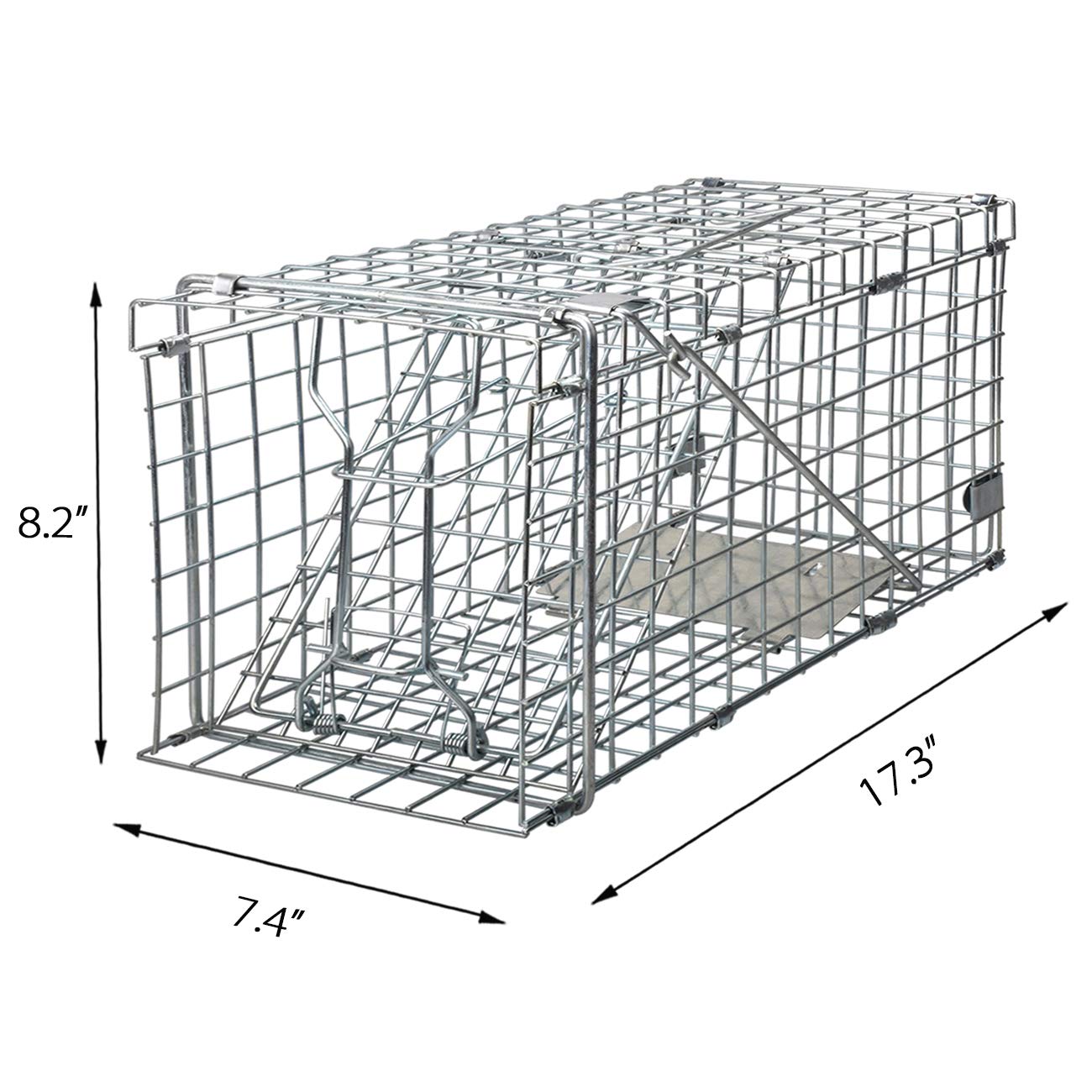 Gingbau Squirrel Trap setup video guide assists correct assembly.