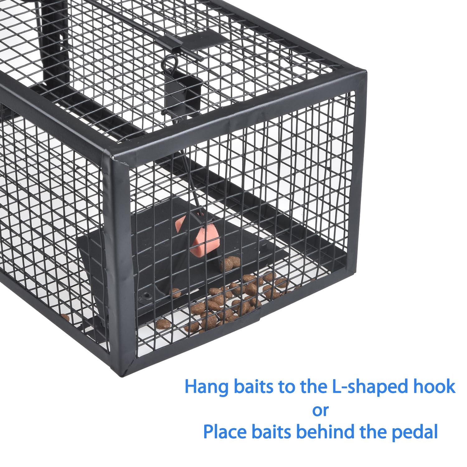 Gingbau trap release steps enabling safe relocation away from home.