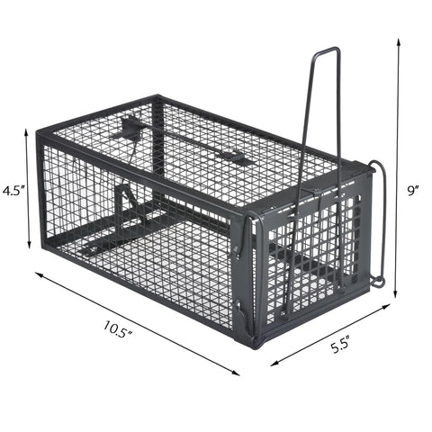 Gingbau trap setup video preview to assist easy humane use.