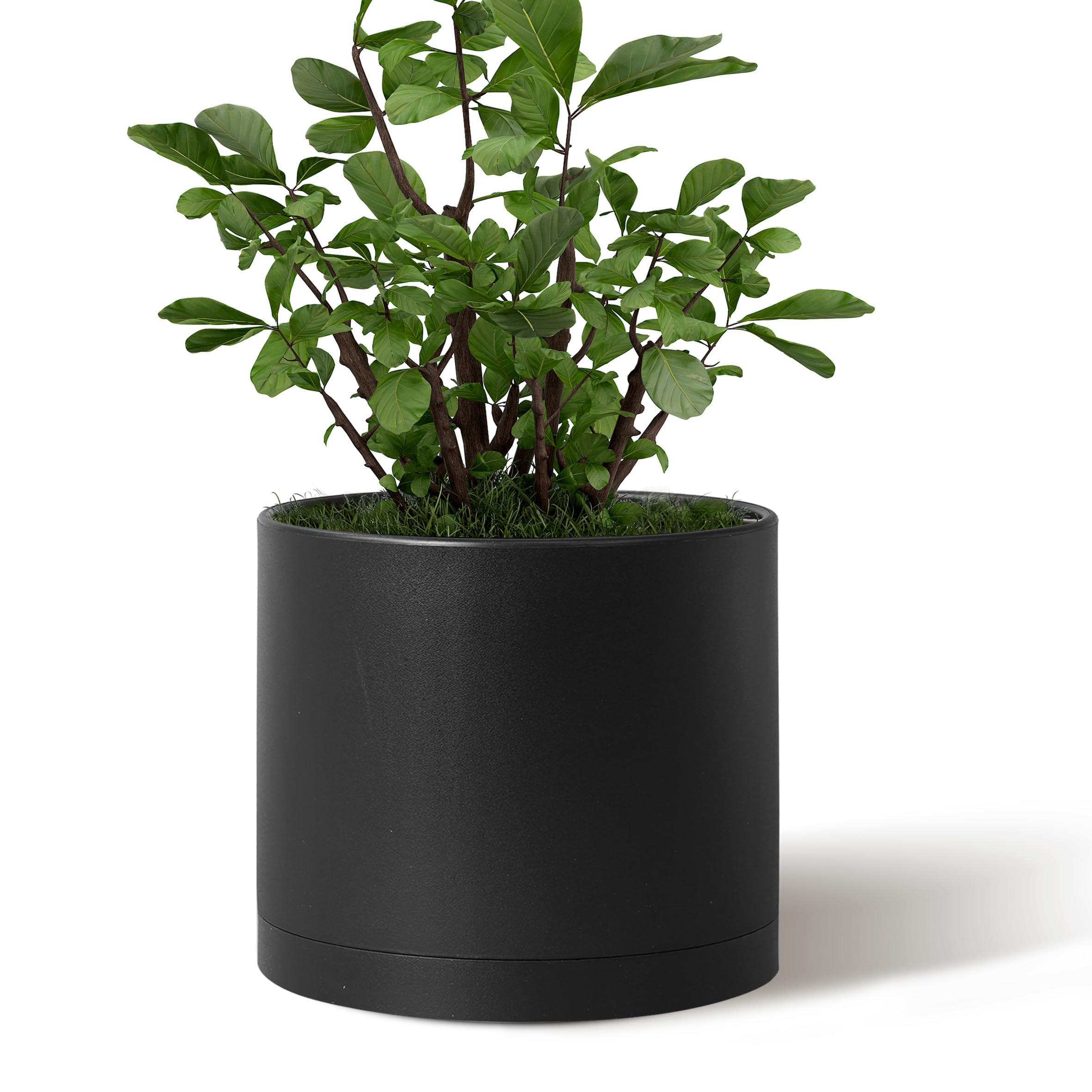Giraffe Creation 10-inch round cylinder pot in black for versatile indoor or outdoor display