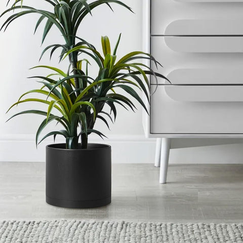 Giraffe Creation black planter ideal for offices or balconies adding a modern touch