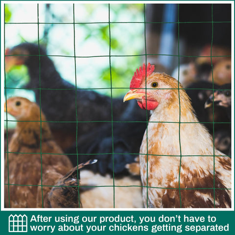 Gisafai pets and poultry protection fence for animal containment