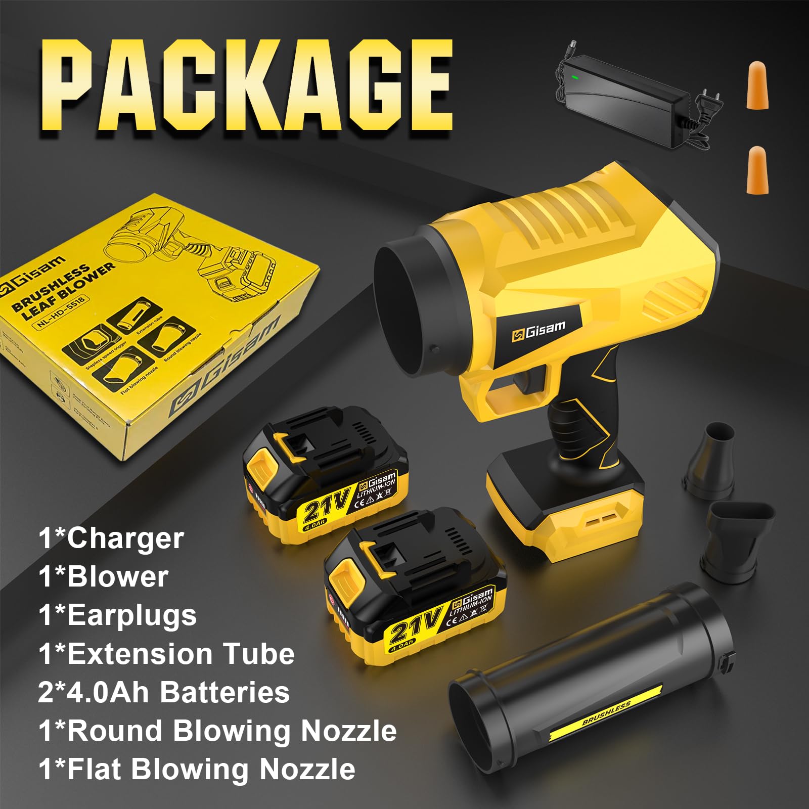 Gisam full kit with batteries, charger, nozzles, and earplugs.