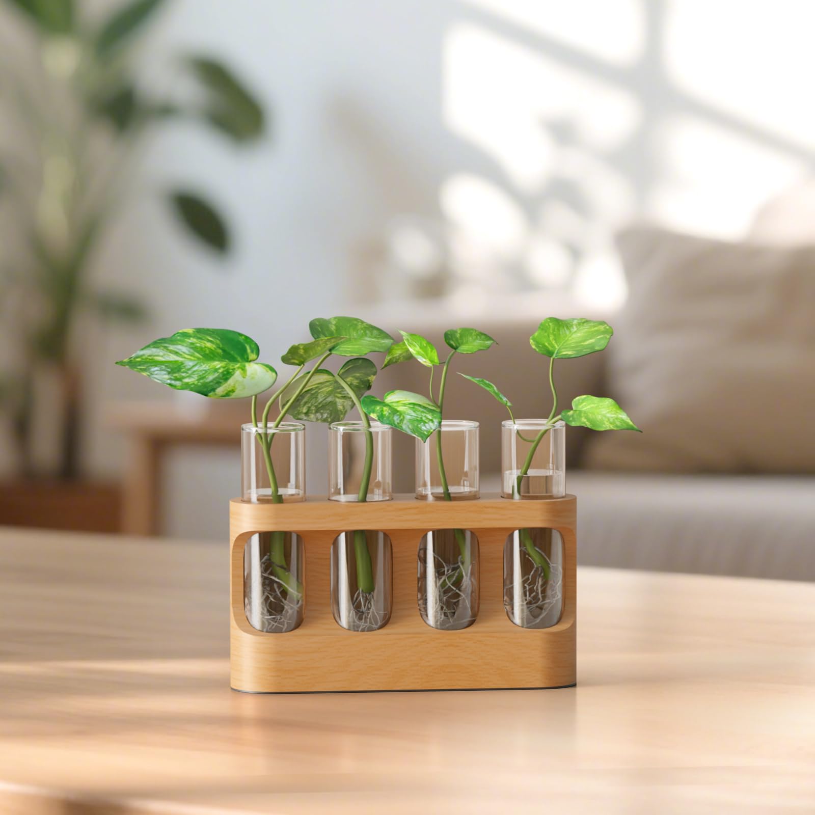 Giunn gift-ready propagation station ideal for plant lovers