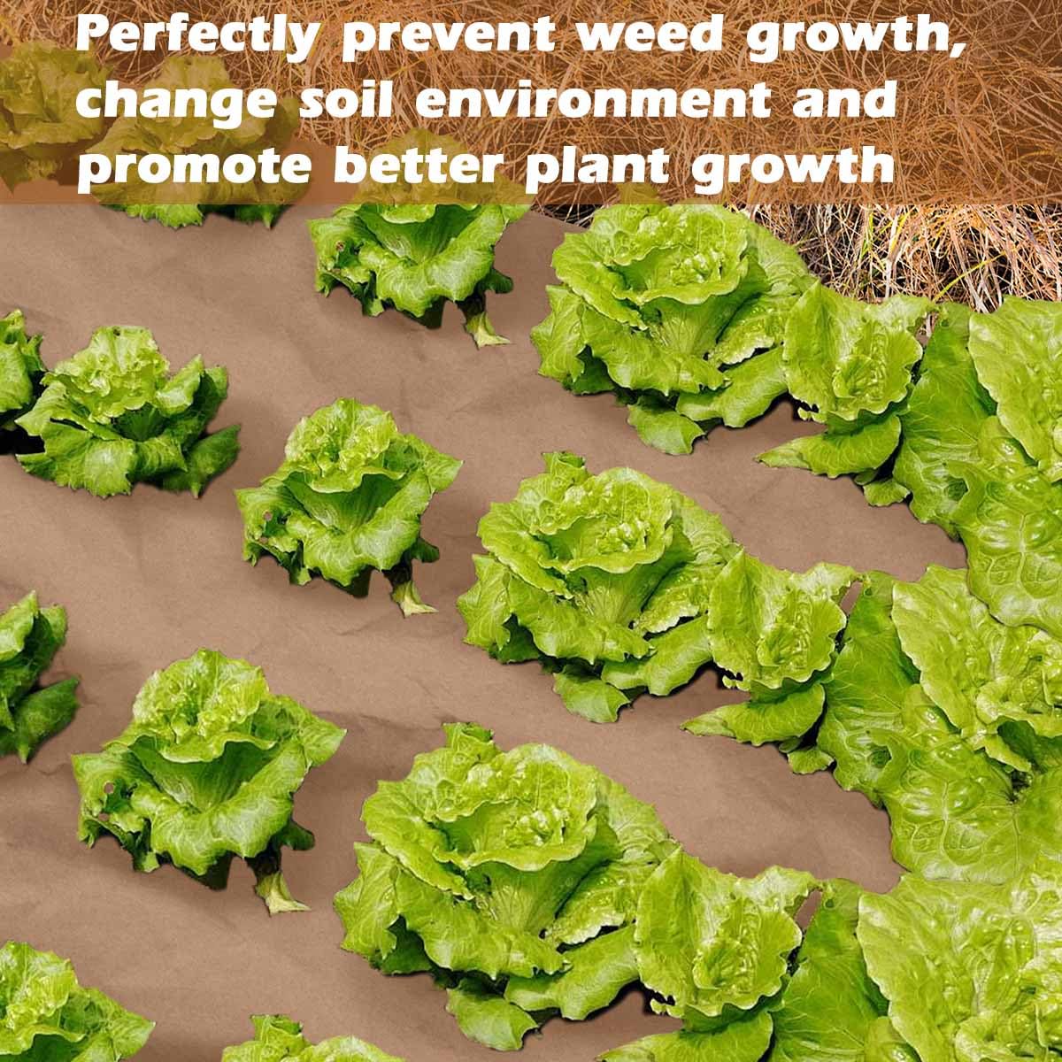 gjkldcvb road-greening application protects soil while biodegrading.