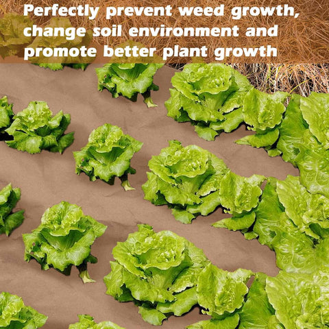 gjkldcvb road-greening application protects soil while biodegrading.