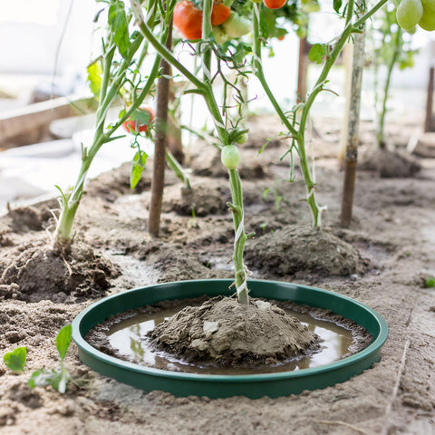 GJQ 6-pack supports saplings, vegetables, herbs, and flowers.