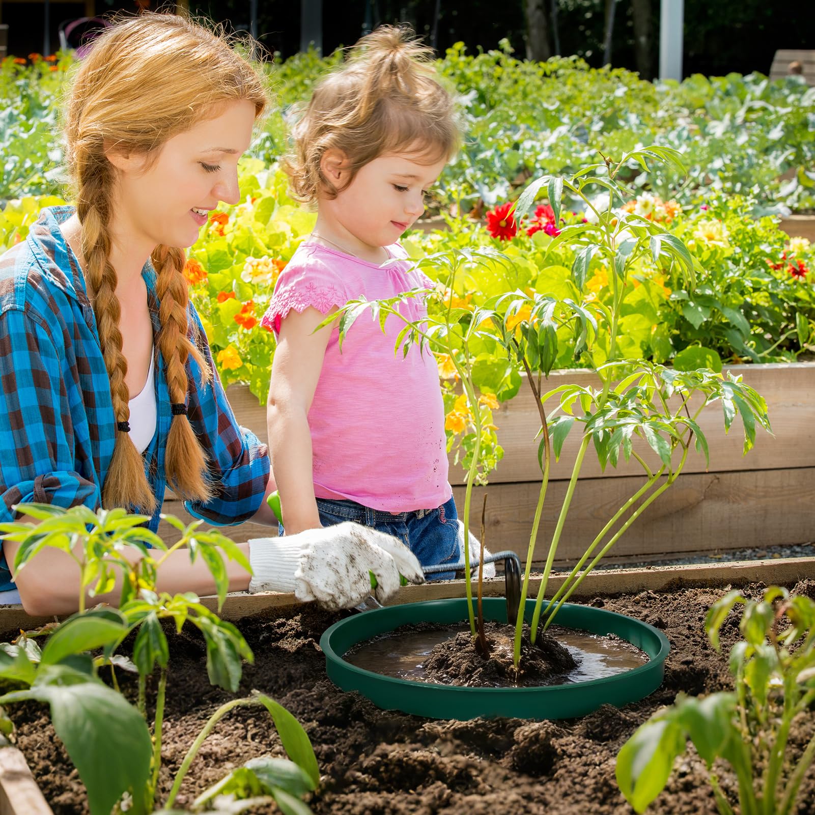 GJQ 12-inch rings offer reusable, durable garden protection.