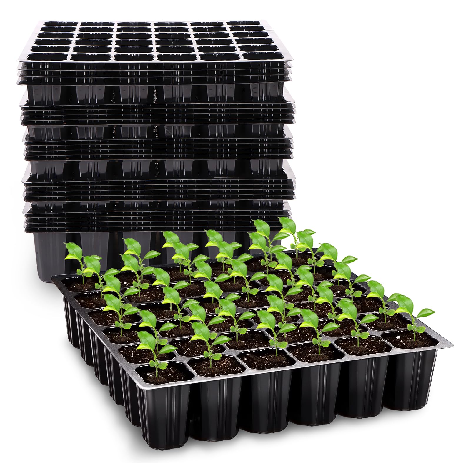 GJQ 32-cell seed starter tray with deep cells for strong seedling growth