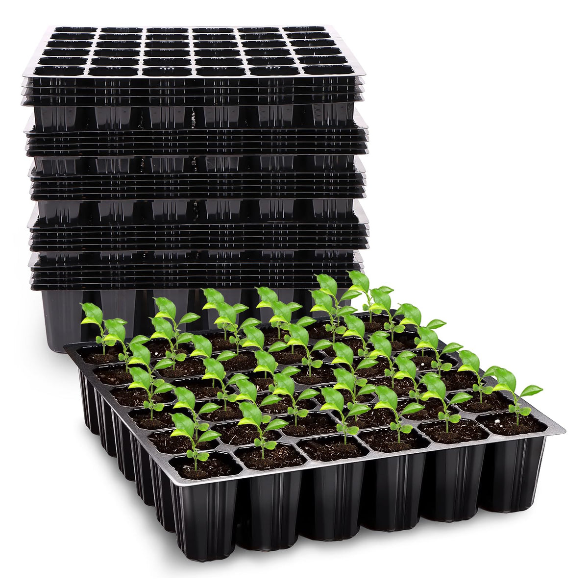 GJQ 32-cell seed starter tray with deep cells for strong seedling growth