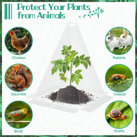 GJQ transparent PP cloche material offers clear visibility and durable protection.