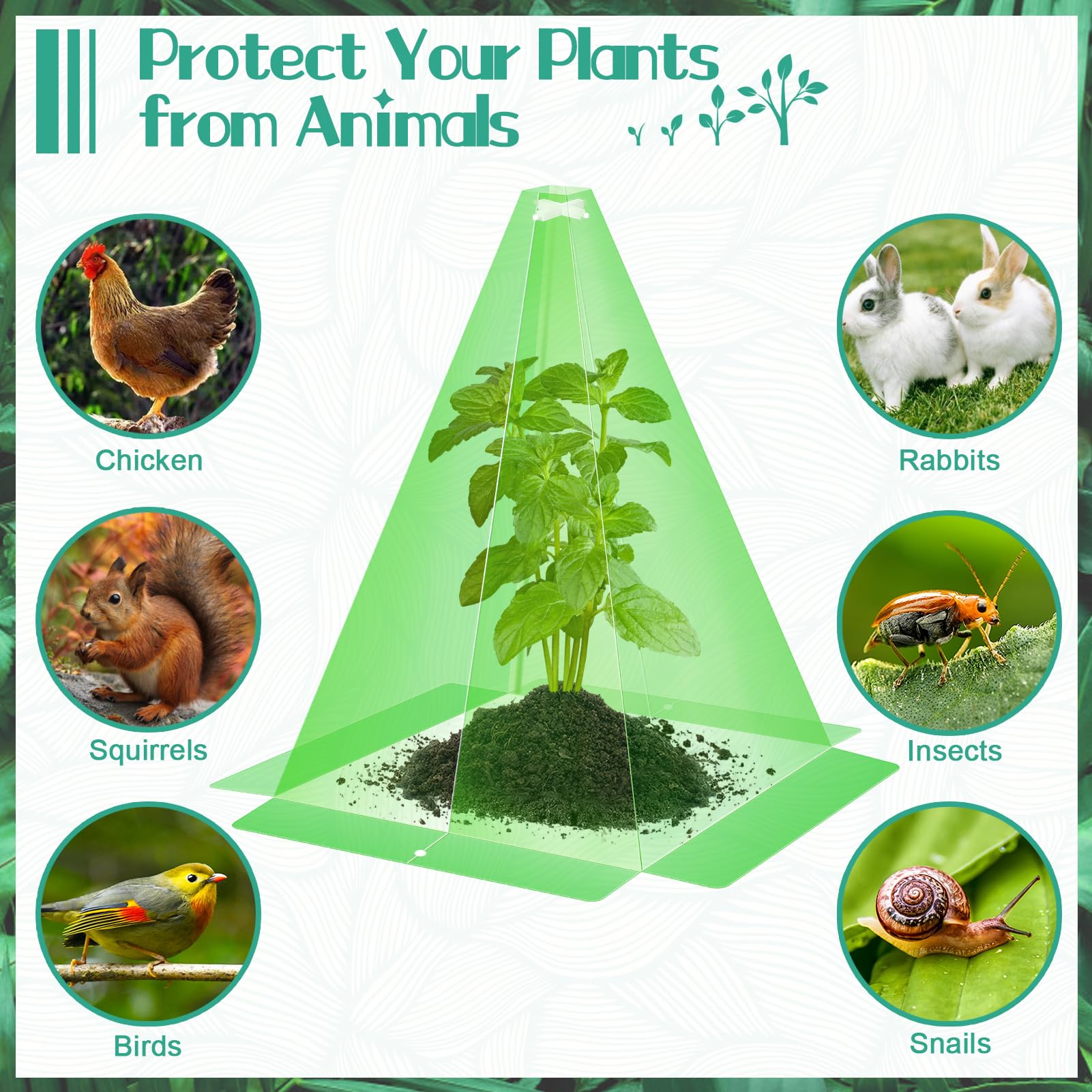 GJQ transparent PP cloche material supports light transmission for healthy growth