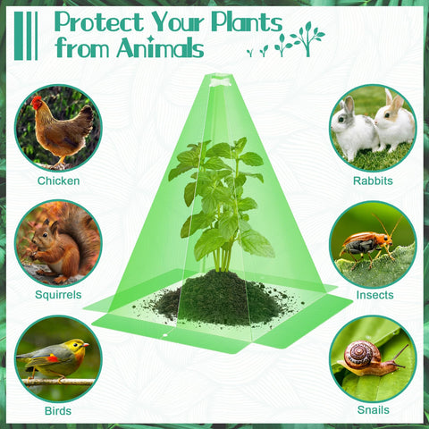GJQ transparent PP cloche material supports light transmission for healthy growth