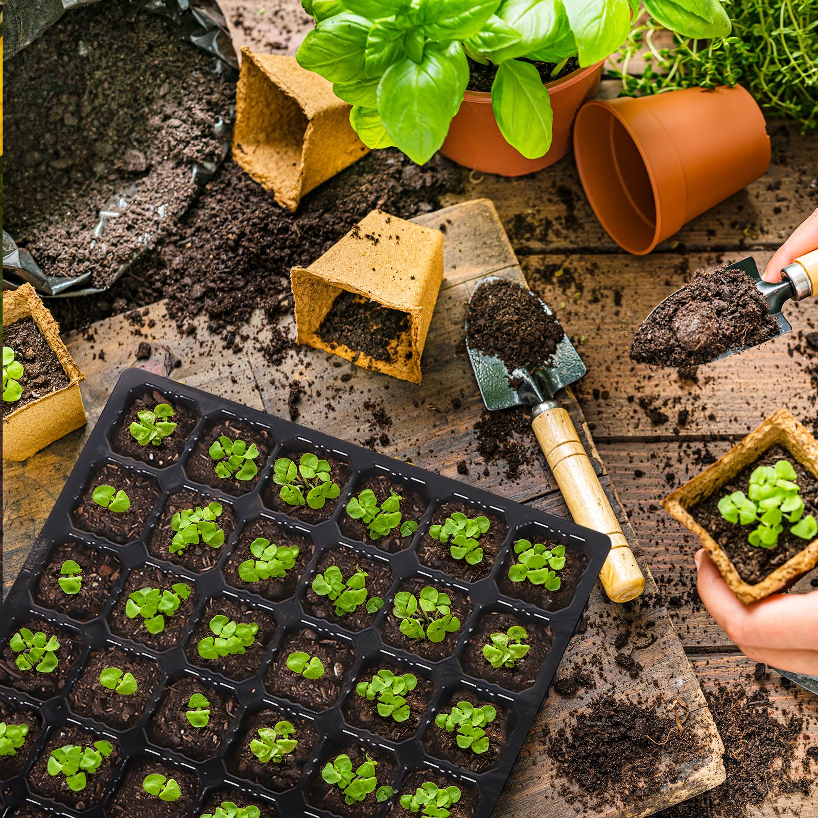 GJQ seed starter tray measures 10.24 by 10.24 inches for precise layout