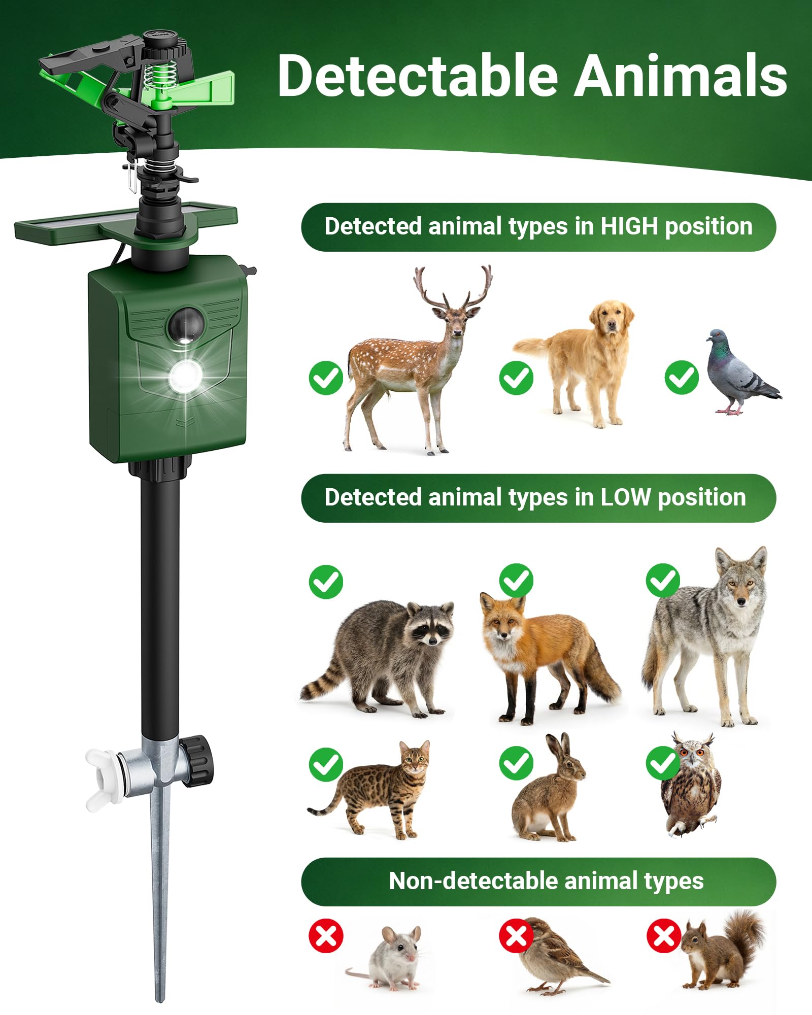 G-Jyuncyou water spray pattern demonstrates 360° coverage for beds