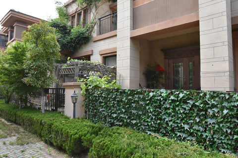 GLANT expandable ivy privacy fence length adapts to space