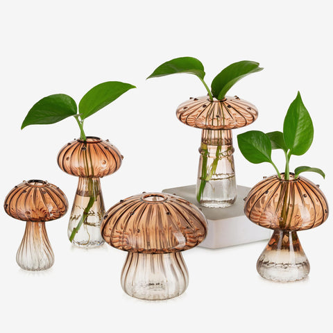 Glasseam amber glass terrarium jar set, front view, ideal for displaying baby cuttings.