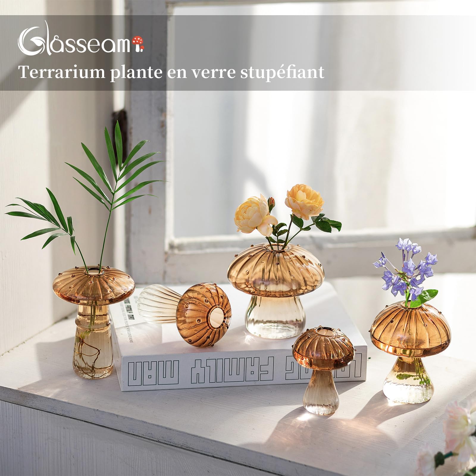 Glasseam amber glass terrarium jar set, top view, clear container for compact plant propagation.