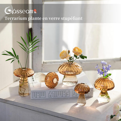 Glasseam amber glass terrarium jar set, top view, clear container for compact plant propagation.