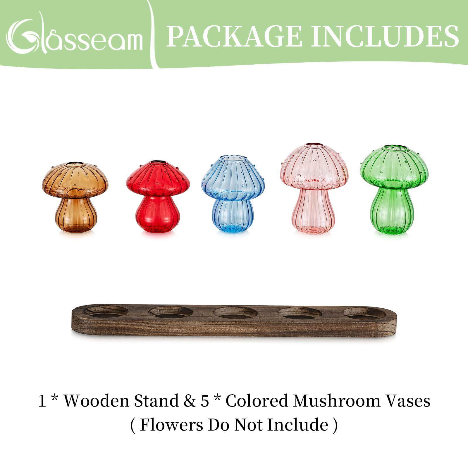 Glasseam gift-pack plant lovers offers stylish propagation set