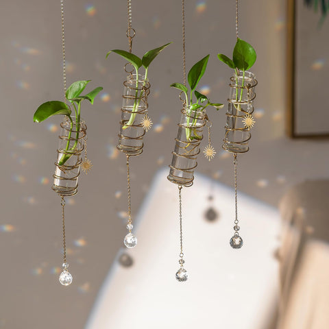 Glasseam hanging propagation station with chain and sun pendant for stylish plant propagation.