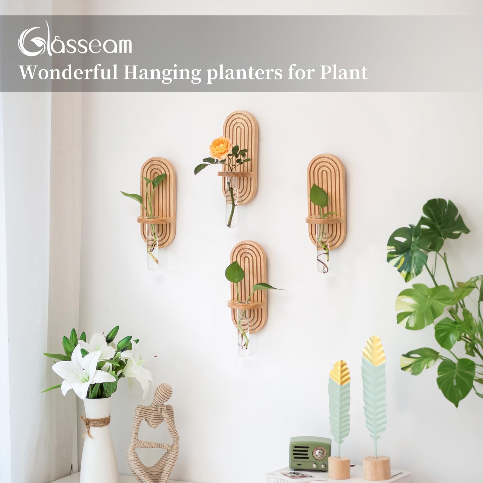 Glasseam indoor propagation terrarium vases suitable for hydroponics and cuttings.