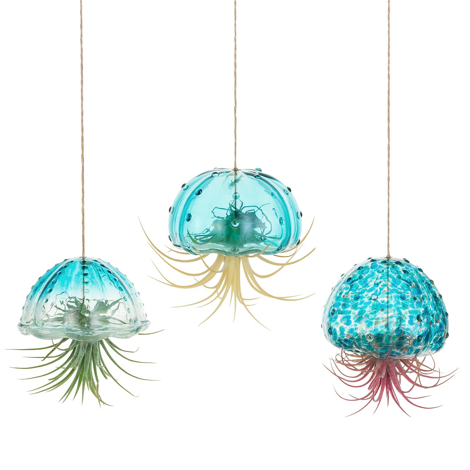 Glasseam jellyfish air plant holder displays Tillandsia in blue glass for chic spaces