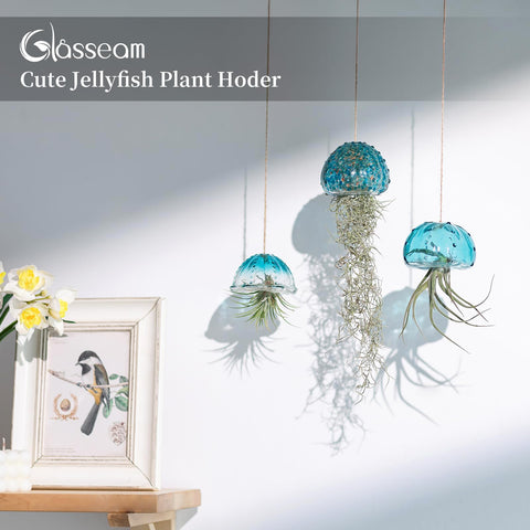 Glasseam jellyfish air plant holder blue glass adds subtle color to any room