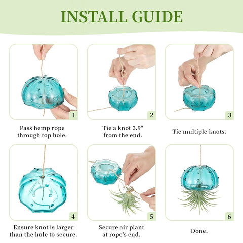 Glasseam jellyfish air plant holder durable soda lime glass withstands daily display