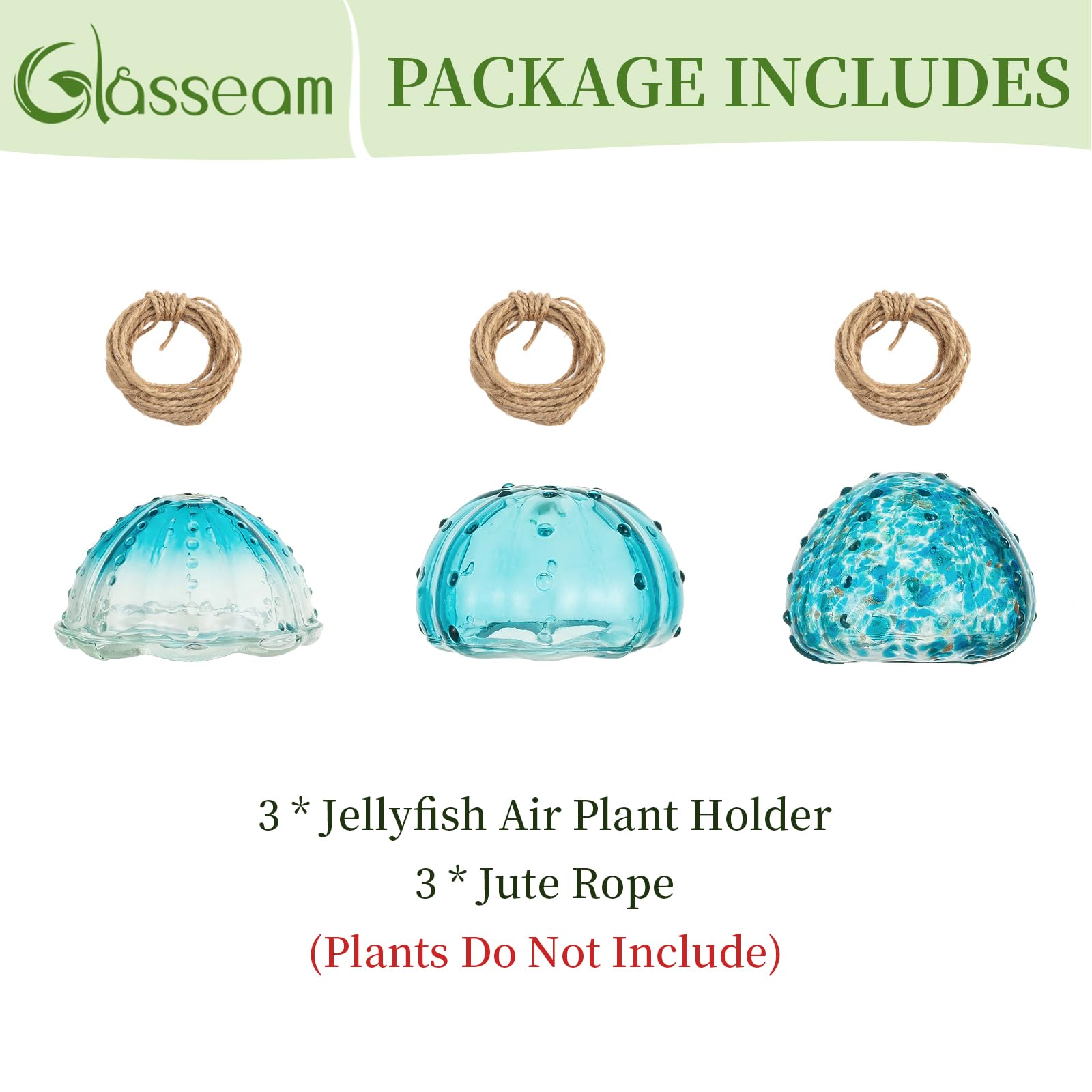 Glasseam jellyfish air plant holder simple 3 step setup in minutes