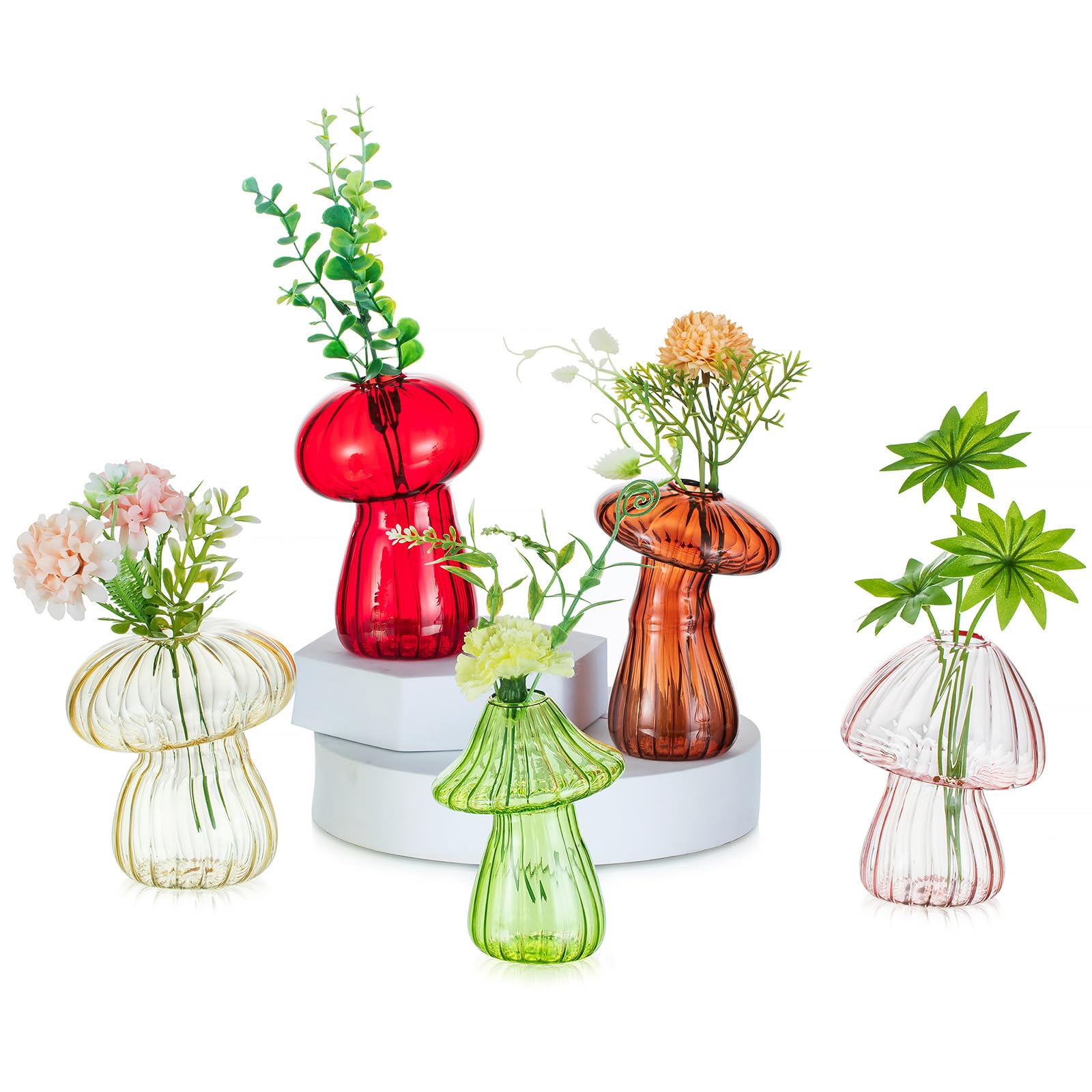 Glasseam mushroom propagation jar terrarium shows roots and natural charm for plant lovers