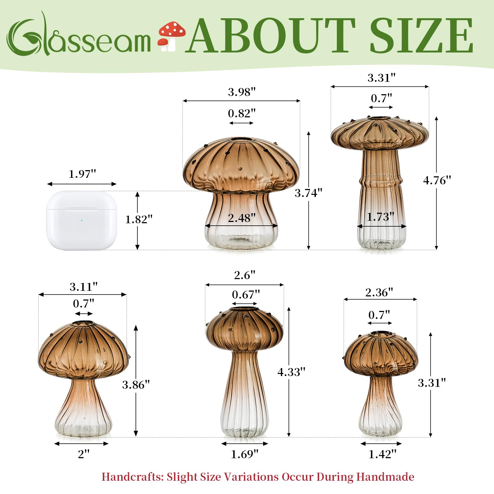 Glasseam mushroom propagation station interior view, provides neat space for rooting new growth.