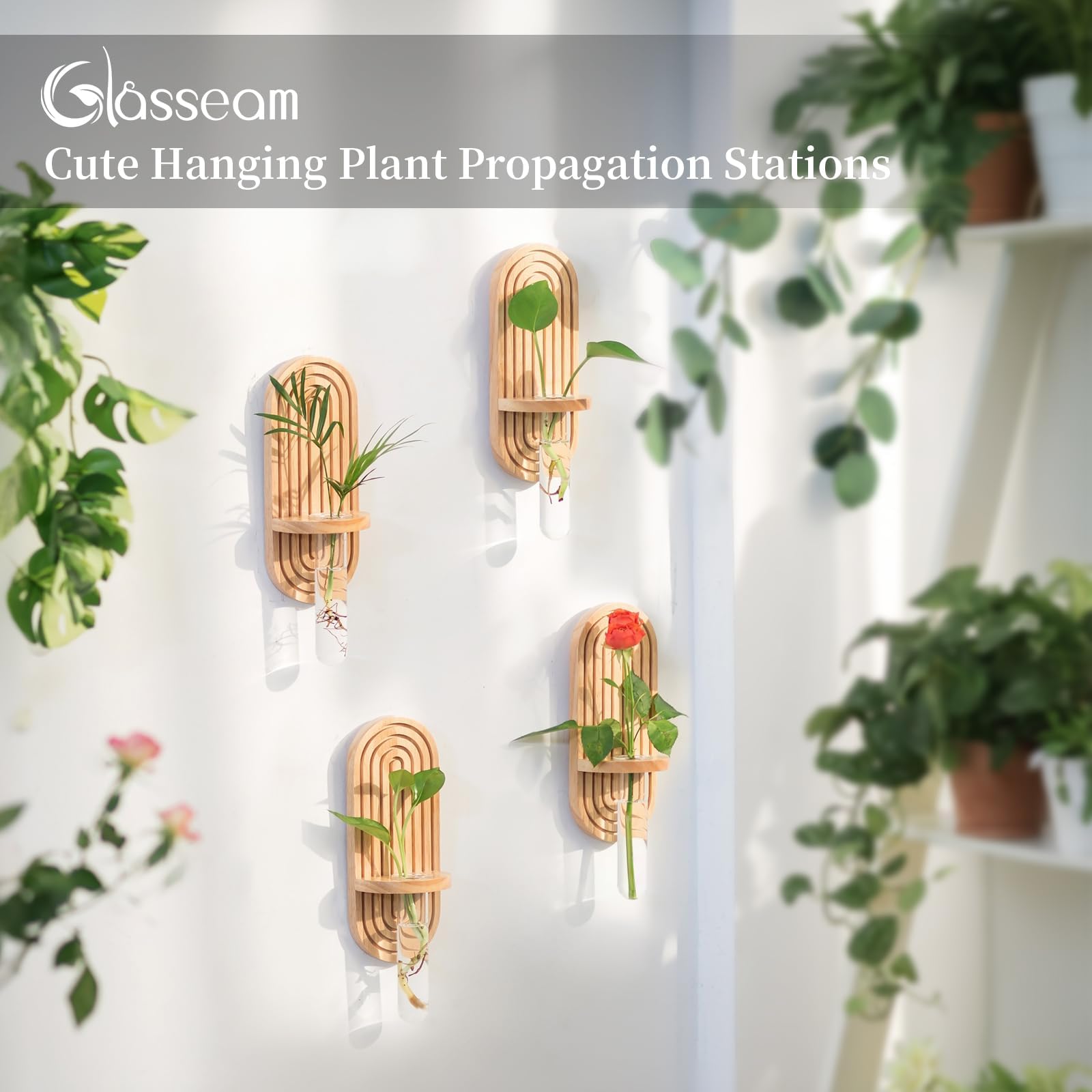 Glasseam test tube propagation vases show clear roots for easy plant care.