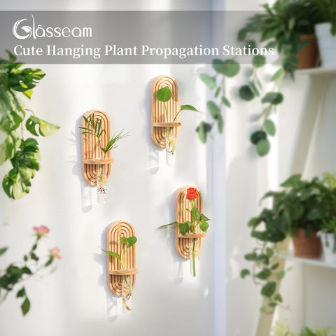 Glasseam test tube propagation vases show clear roots for easy plant care.