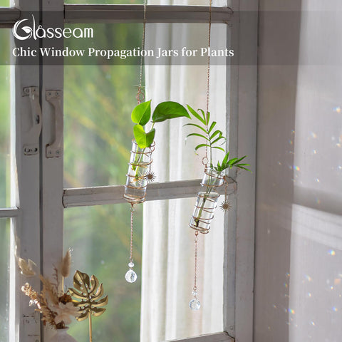 Glasseam wall glass planter decor set enhances modern spaces with natural greenery.
