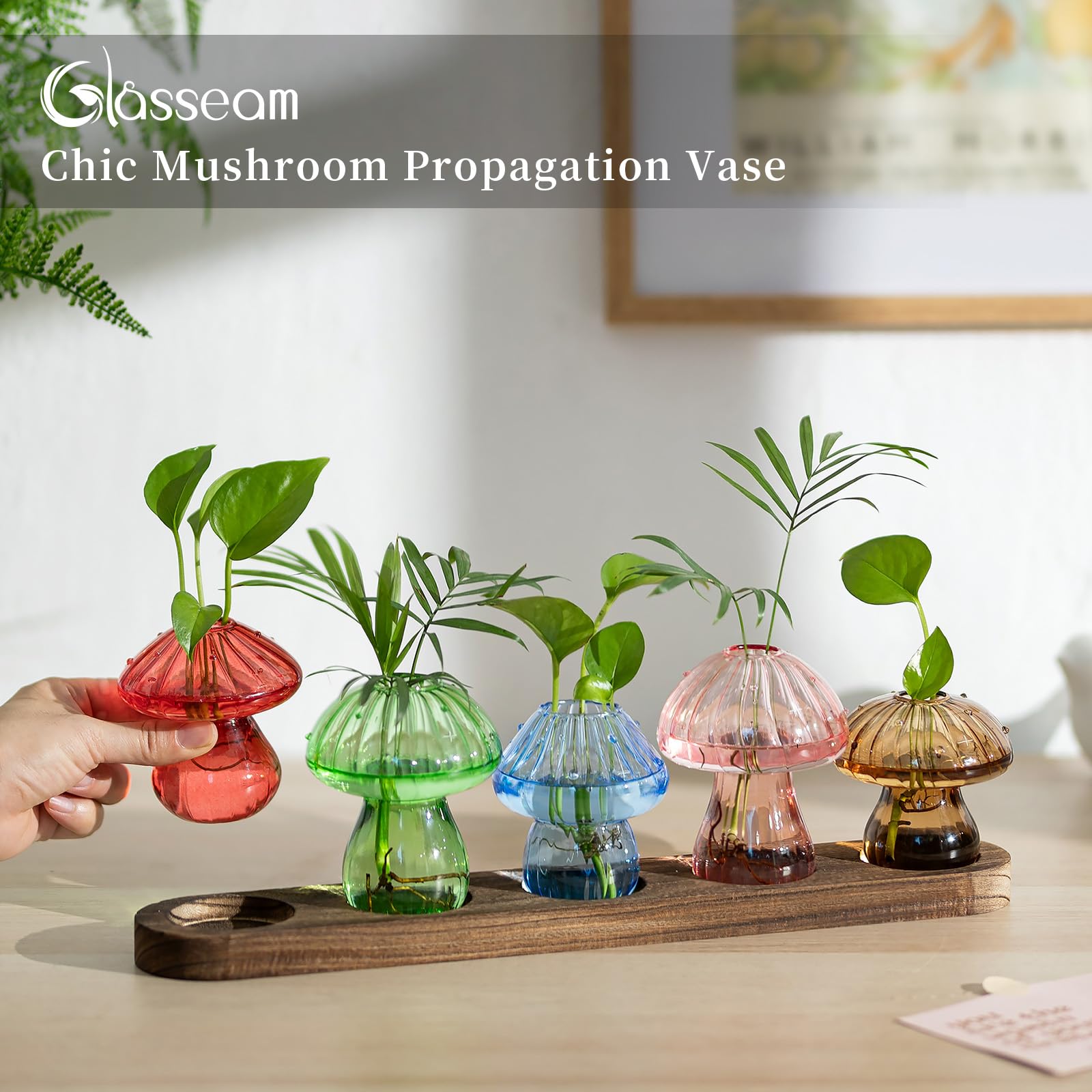 Glasseam wide-opening propagation container fits small stems for growth