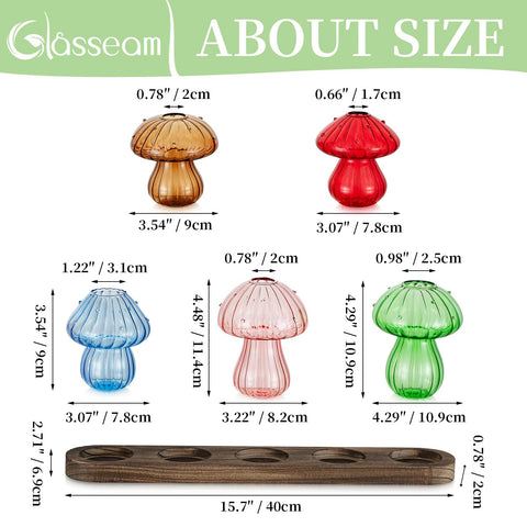 Glasseam window sill mushroom display brings natural light and whimsy