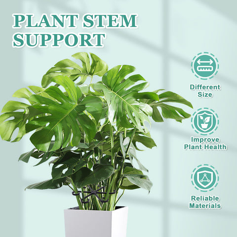 GLCSC 4.6 inch stem support providing upright stability