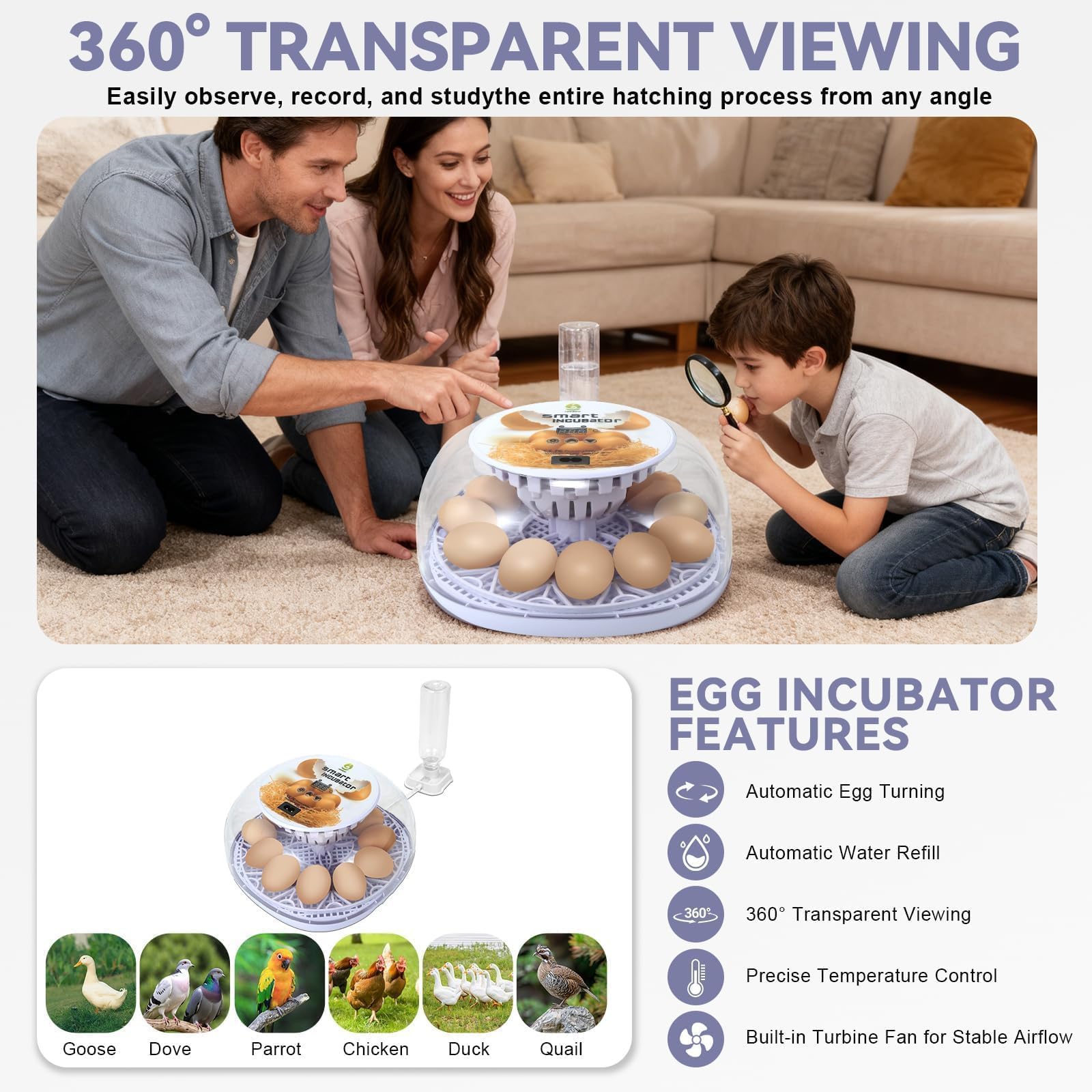 GleeGearNex Gen I egg tray supports up to 12 chicken or 24 quail eggs.