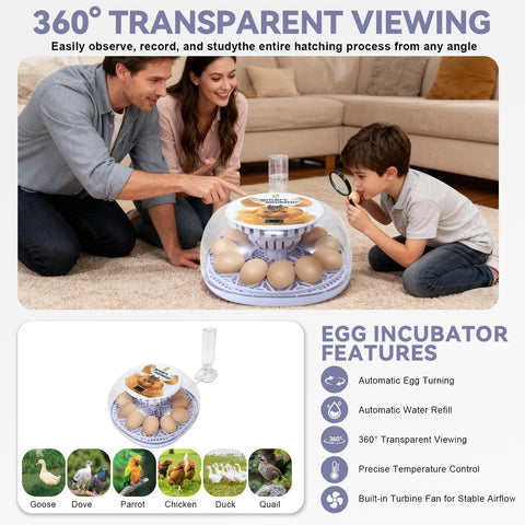 GleeGearNex Gen I egg tray supports up to 12 chicken or 24 quail eggs.