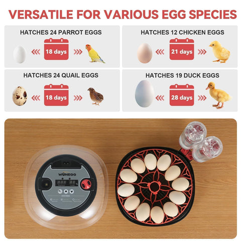 GleeGearNex 360° airflow ensures even heat distribution inside the incubator