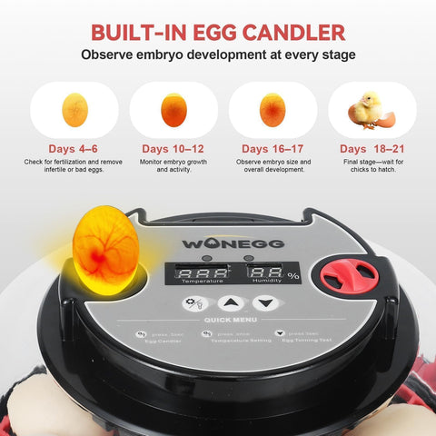 GleeGearNex LED candler lets you inspect embryo progress without opening the lid